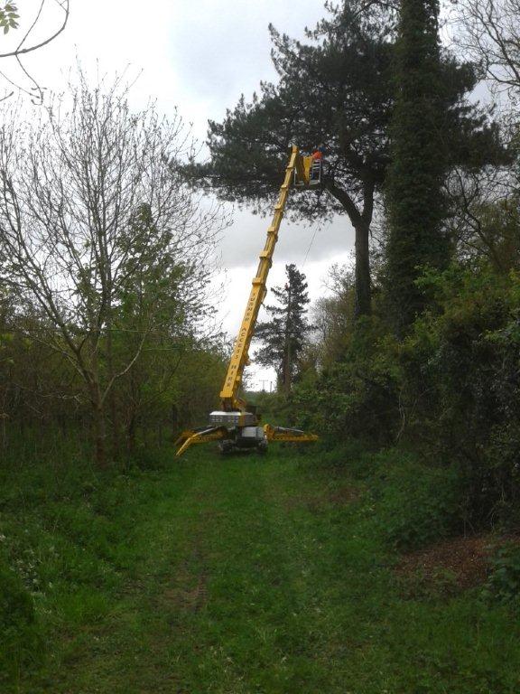 Spiderhire - Spider Lift Hire - Sudbury Suffolk