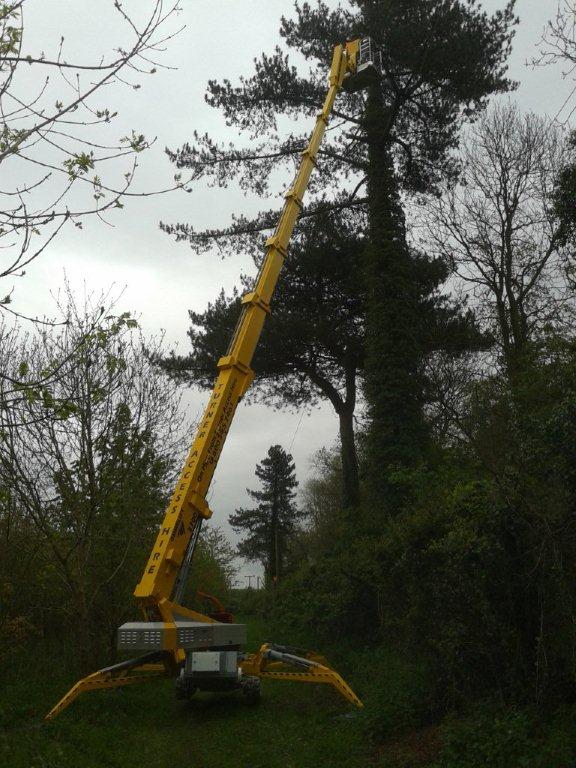 Spiderhire - Spider Lift Hire - Sudbury Suffolk