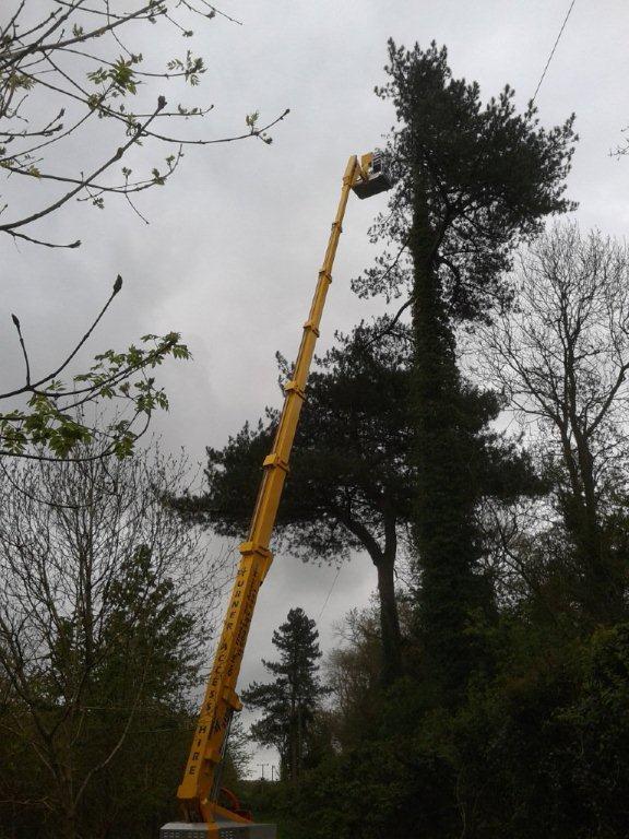Spiderhire - Spider Lift Hire - Sudbury Suffolk