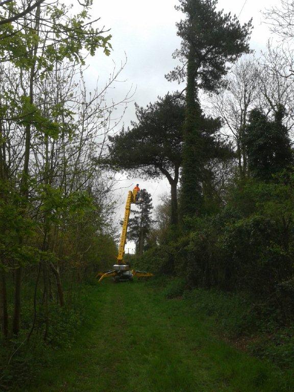 Spiderhire - Spider Lift Hire - Sudbury Suffolk