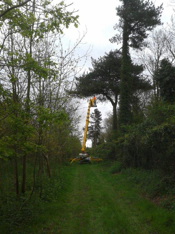Spiderhire - Spider Lift Hire - Sudbury Suffolk