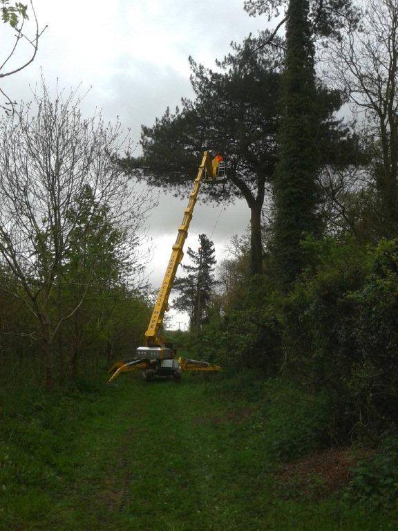 Spiderhire - Spider Lift Hire - Sudbury Suffolk