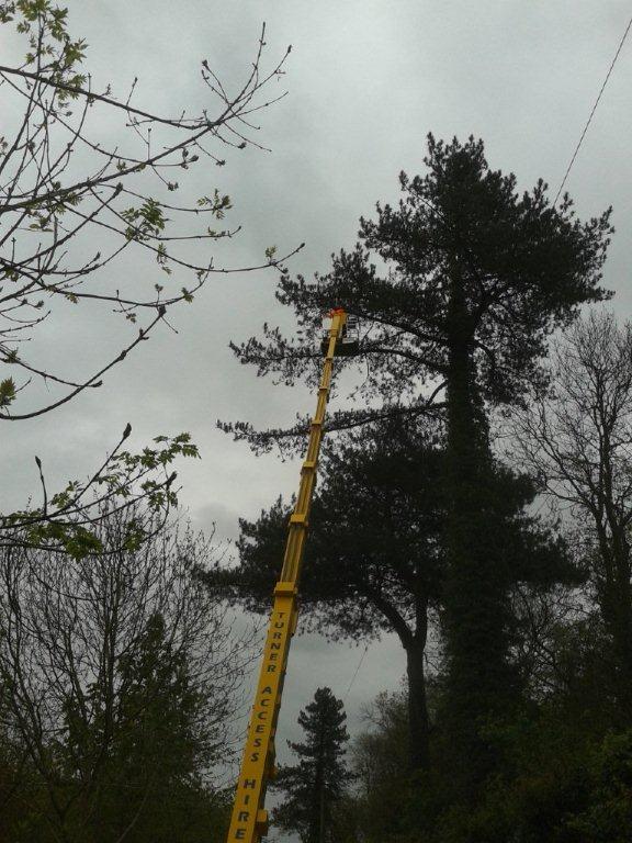 Spiderhire - Spider Lift Hire - Sudbury Suffolk