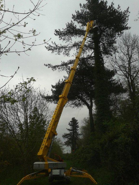 Spiderhire - Spider Lift Hire - Sudbury Suffolk
