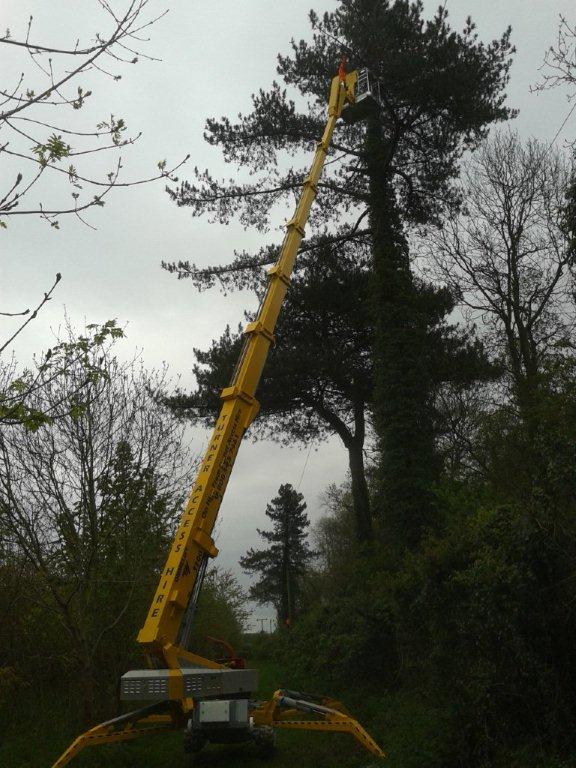 Spiderhire - Spider Lift Hire - Sudbury Suffolk